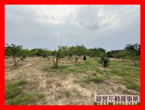 誠昱/善化糖廠有水有電開.