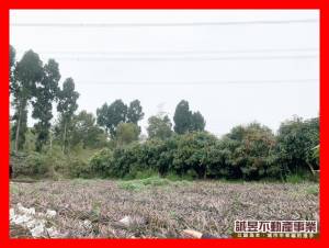 誠昱/頭社持分農地