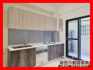 誠昱/玉井全新天外天透天.