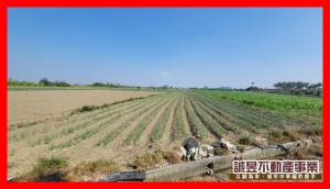 誠昱/安南佃北5.6分都.