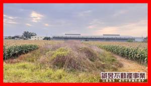 誠昱/海寮前後臨路方正.