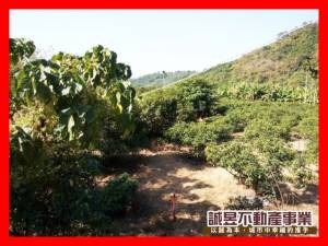 誠昱/南化竹頭崎丙種建.